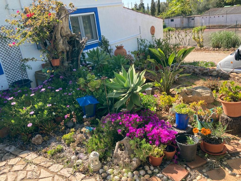 הוילה גיאה Casa Joy מראה חיצוני תמונה
